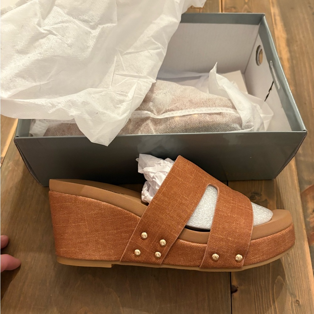 Pierre Dumas Tan Wedge Sandals with Wooden Platform